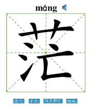 ã