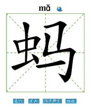 Λ