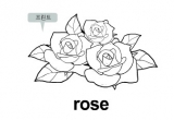 õ(rose)ɫ