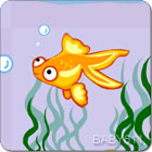 С~(y)Little Goldfish